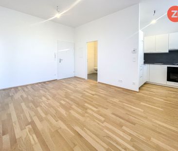Erstbezug - 2- Zimmer Wohnung mit Küche am Hauptplatz in Enns - Photo 3
