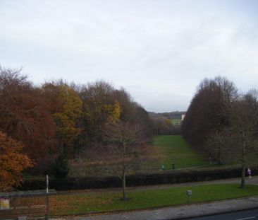 1, 557/559 Upper Newtownards Rd, Belfast, BT4 3LP - Photo 5