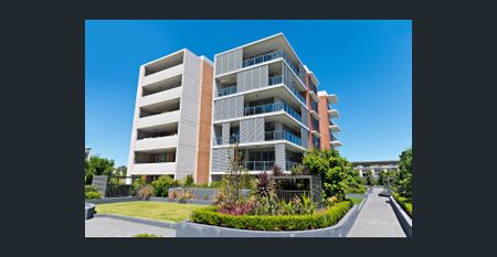 Quiet 1 Bedroom Apartment plus Study with Delightful Park Views - Photo 5