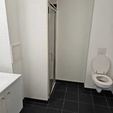 Location : Appartement 1 pièce 51 m2 – STRASBOURG - Photo 3