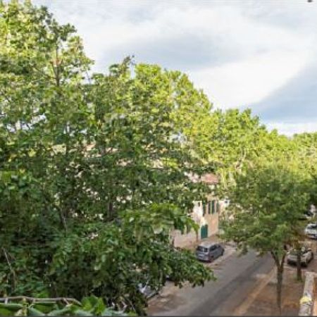 Coup de coeur, grand F2 au coeur de ville - Photo 3