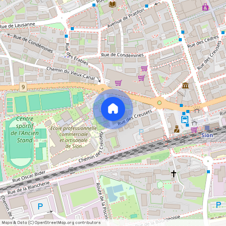 Rue des Erables 31, 1950 Sion