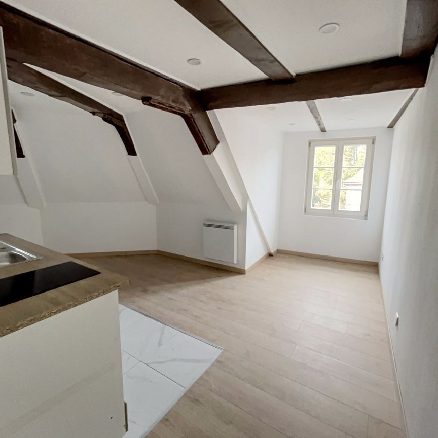 Location Appartement 1 pièce 22m² SELESTAT 67600 - Photo 1