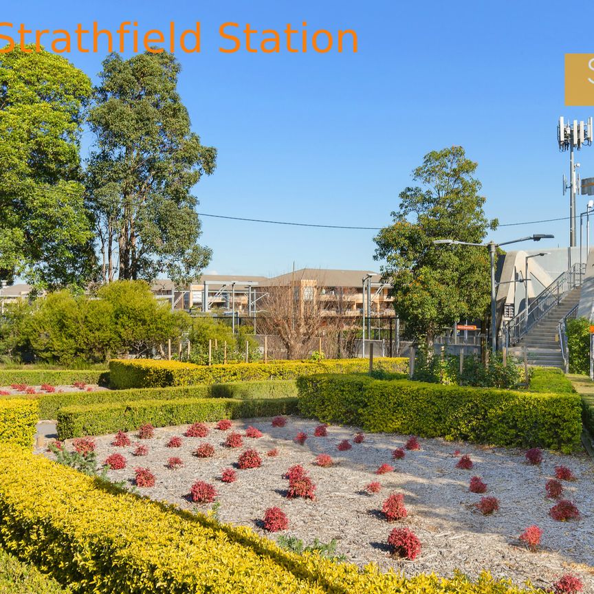 5/6-10 Beronga Street, North Strathfield NSW 2137 - Townhouse For Rent | Domain - Photo 1