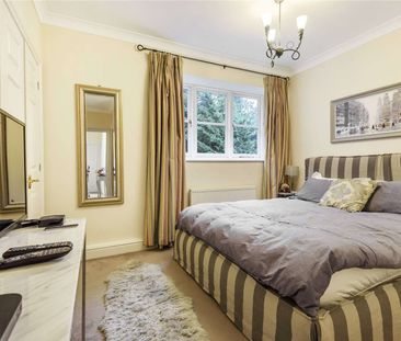 A charming three bedroom home in the heart of Sunningdale. - Photo 5