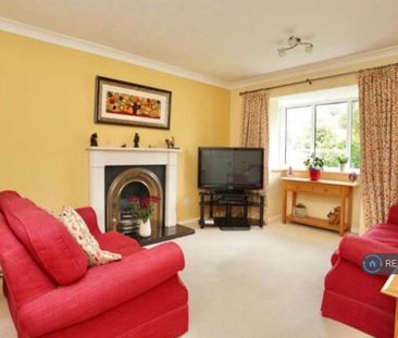 3 bedroom detached house to rent - Photo 6