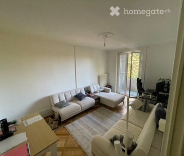 Joli 2,5 pièces à Servette balcon vue parc, au calme - Foto 1
