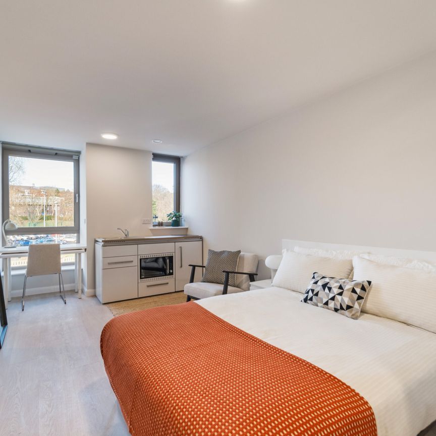 Premium Studio - Photo 1