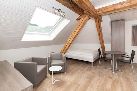 "„möbliertes Studio in sehr zentraler Lage in Root“" - Foto 3