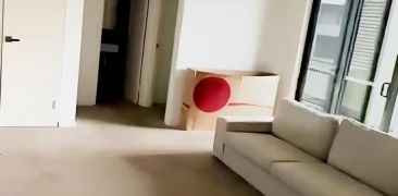 2-6 Wills St Wolli Creek, Sydney - Photo 2