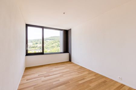 2.5 Zimmer, 62 m², 12. Stock - Photo 4