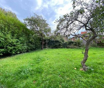 3 bedroom house to rent - Photo 3