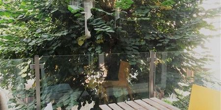 Appartement te huur in Mechelen voor € 975 met 1 slaapkamer - Photo 2