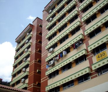 Blk 430 Choa Chu Kang Avenue 4 (Choa Chu Kang), HDB 4 Rooms - For Rent - Photo 6