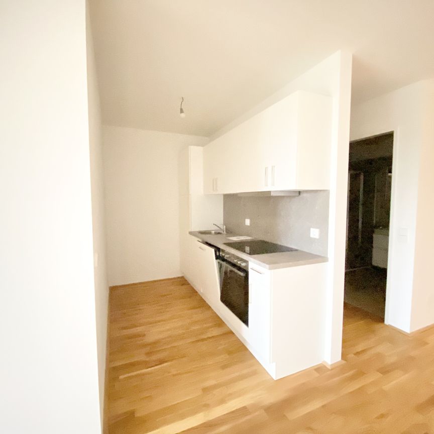 =Das Laurenz= Top Weitblick Wohnung U3 2 Zimmer + Balkon - 1 bedroom apartment + balcony ERSTBEZUG - Photo 1