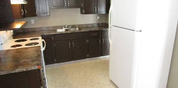 Beautiful 3 Storey Townhouse in Peden Hill Area - Photo 2