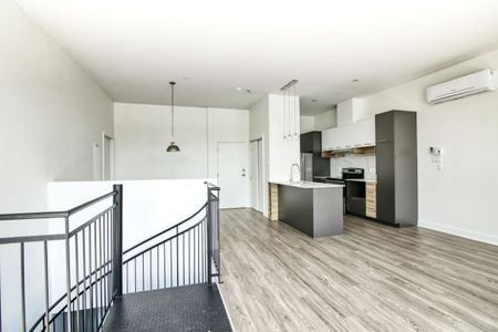 9675 Av. Papineau - Photo 3