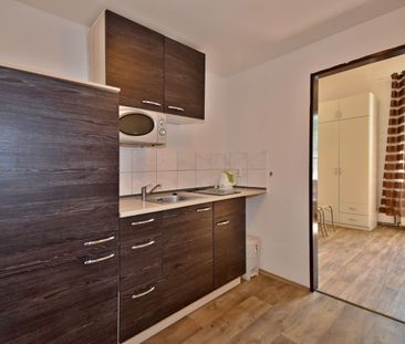 Pronájem bytu 1+kk a garsoniéry 21 m², Lesní, Janské Lázně - Fotografie 3