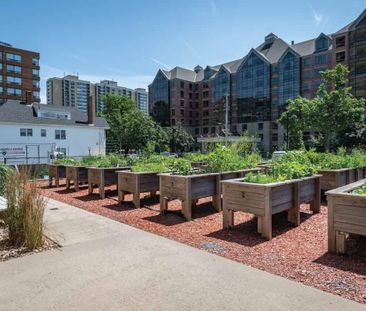 Spring Garden - 1 Bedroom - Photo 4