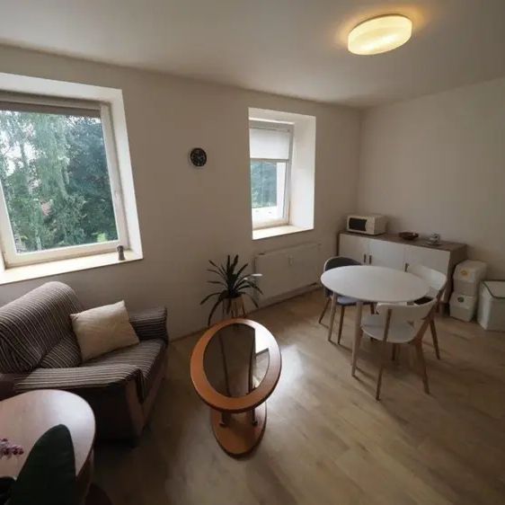 Pronájem bytu 2+kk (46,74 m - Fotografie 1