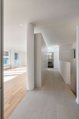 3 individuelle Wohneinheiten - LIVING AARE in Olten - Foto 1