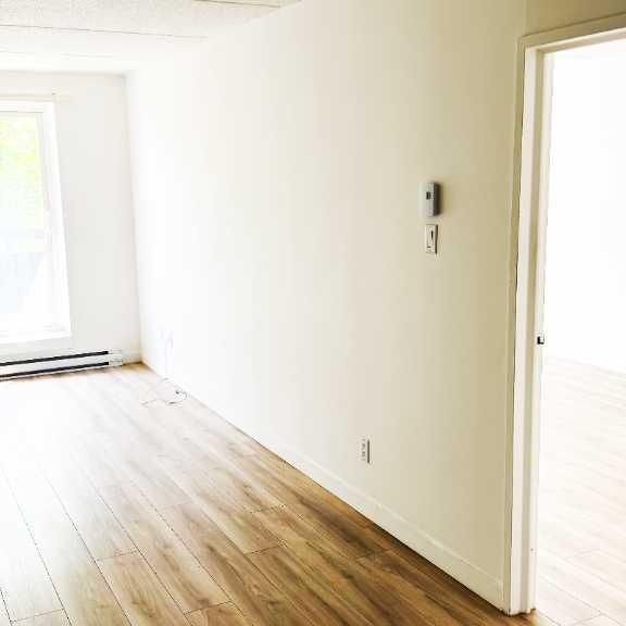 Très beau 3 1/2 rénové - Photo 1