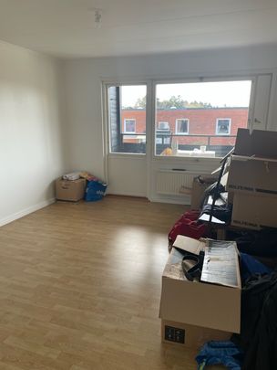 Gullvivestigen, Bro - Foto 1