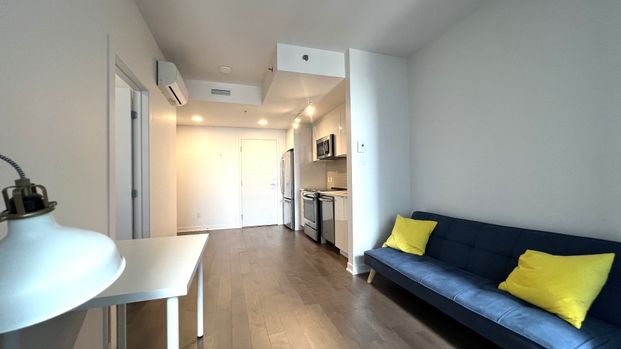 1190 Rue MacKay Montréal (Ville-Marie), QC H3G - Photo 1