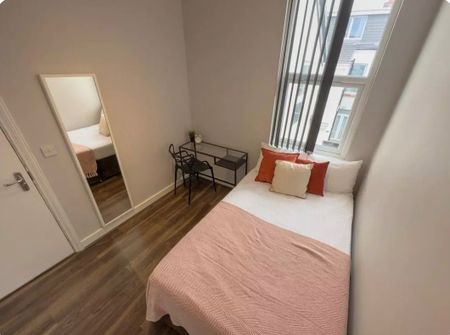 Room in a Shared House, Empress Road, L7 - Photo 3