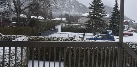 Mont-Saint-Hilaire - Condo 4 1/2 avec foyer à louer - Photo 2