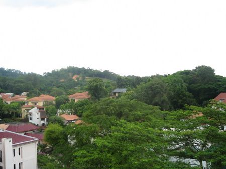 The Blossomvale (D21), Condominium - For Rent - Photo 5