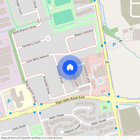 52 Causland Lane, Richmond Hill