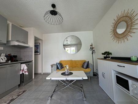 Location Appartement 1 pièce 25m² SETE 34200 - Photo 2