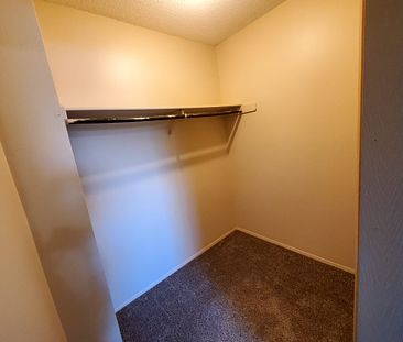 Large 2 Bedroom Unit in Mature Area of Downtown - Photo 1
