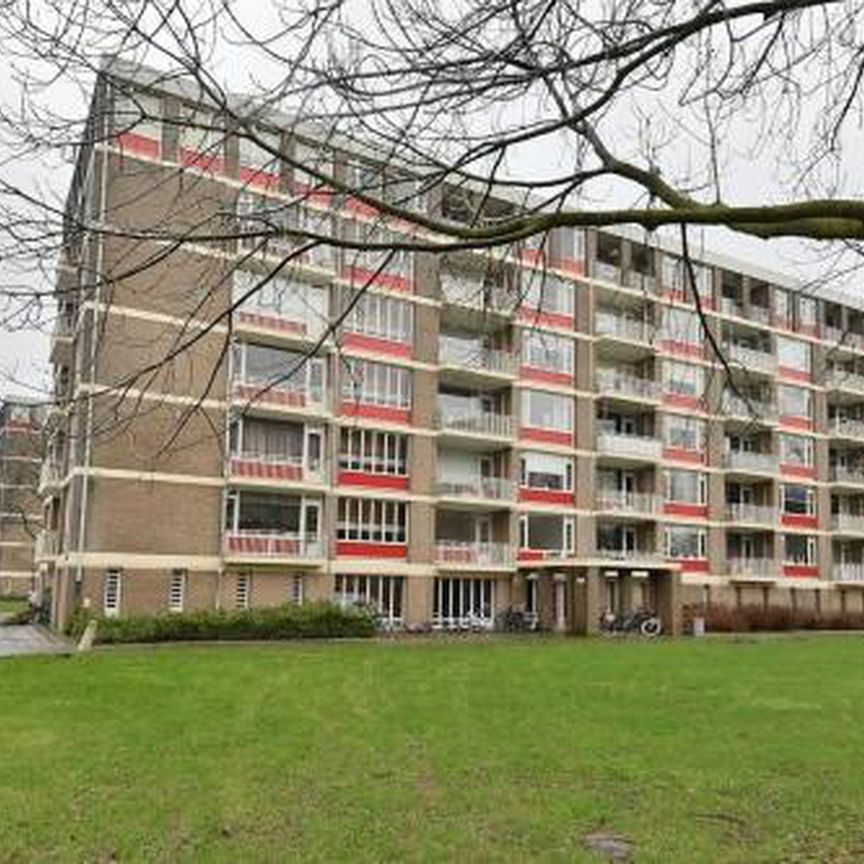 Ringweg Randenbroek 3816 CG Amersfoort - Photo 1