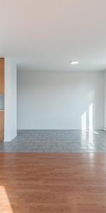 4 1/2 SAINT-BASILE-LE-GRAND adjacent SAINT-BRUNO-DE-MONTARVILLE - Photo 4