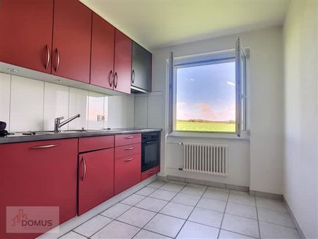 5 Zimmer, EG - Photo 5