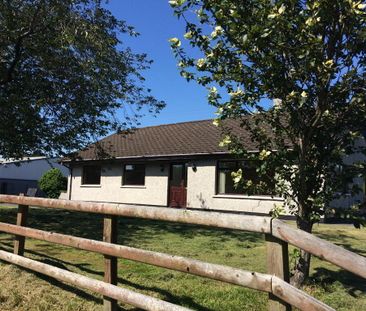 59 Annacloy Road, Downpatrick, BT30 9AQ - Photo 6