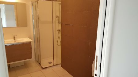 Location Appartement 2 pièces 52m² SANTENY 94440 - Photo 2