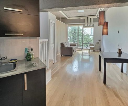 Appartement à louer - Montréal (Ville-Marie) (Centre Ouest) - Photo 1