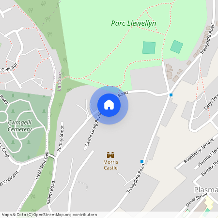 Cnap Llwyd Road, Morriston, SA6