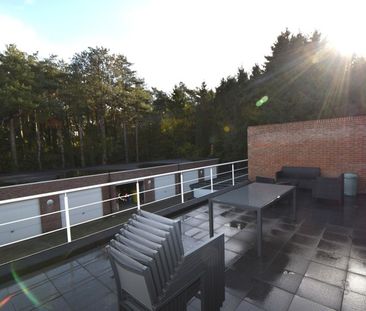 Appartement te huur in Kasterlee - Photo 6