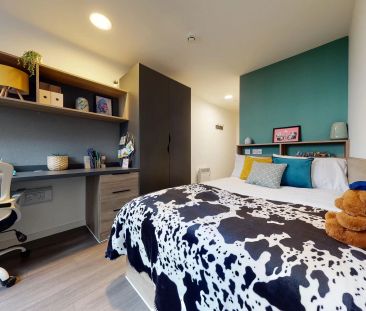 Bronze Ensuite - Photo 5