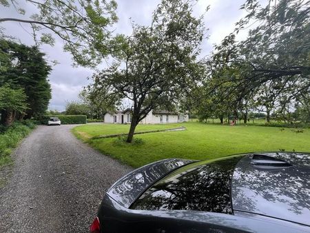 Mill Rose, Naas, Co. Kildare - Photo 5