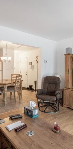 Appartement 4 ½ à louer Lévis juillet 2026 - Photo 1