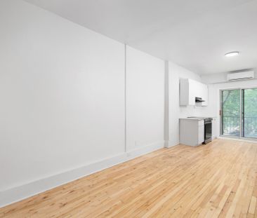 Appartement à louer à Montréal (Le Plateau-Mont-Royal) - Photo 1