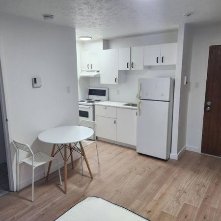 1 1/2 - Sherbrooke - $725 /mois - Photo 3