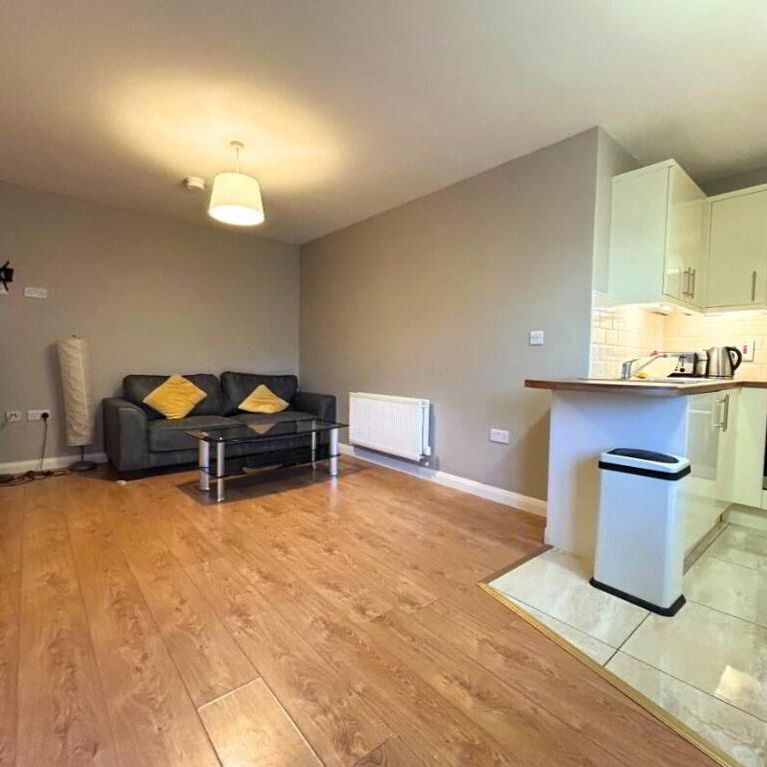 Apt 6 Ivy House, 1 Walnut Street, Belfast, BT7 1FB - Photo 1