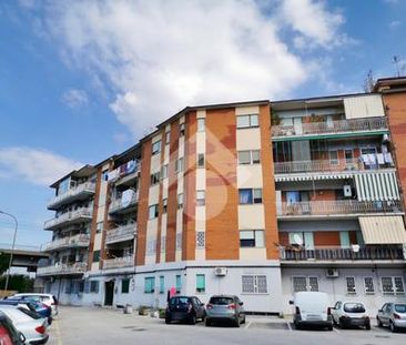 Quadrilocale in affitto - Photo 3