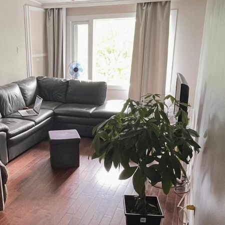 5 1/2 Ste-Foy - Photo 4